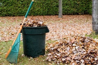 Bag Yard Waste - But Use Paper (or Containers), Not Plastic